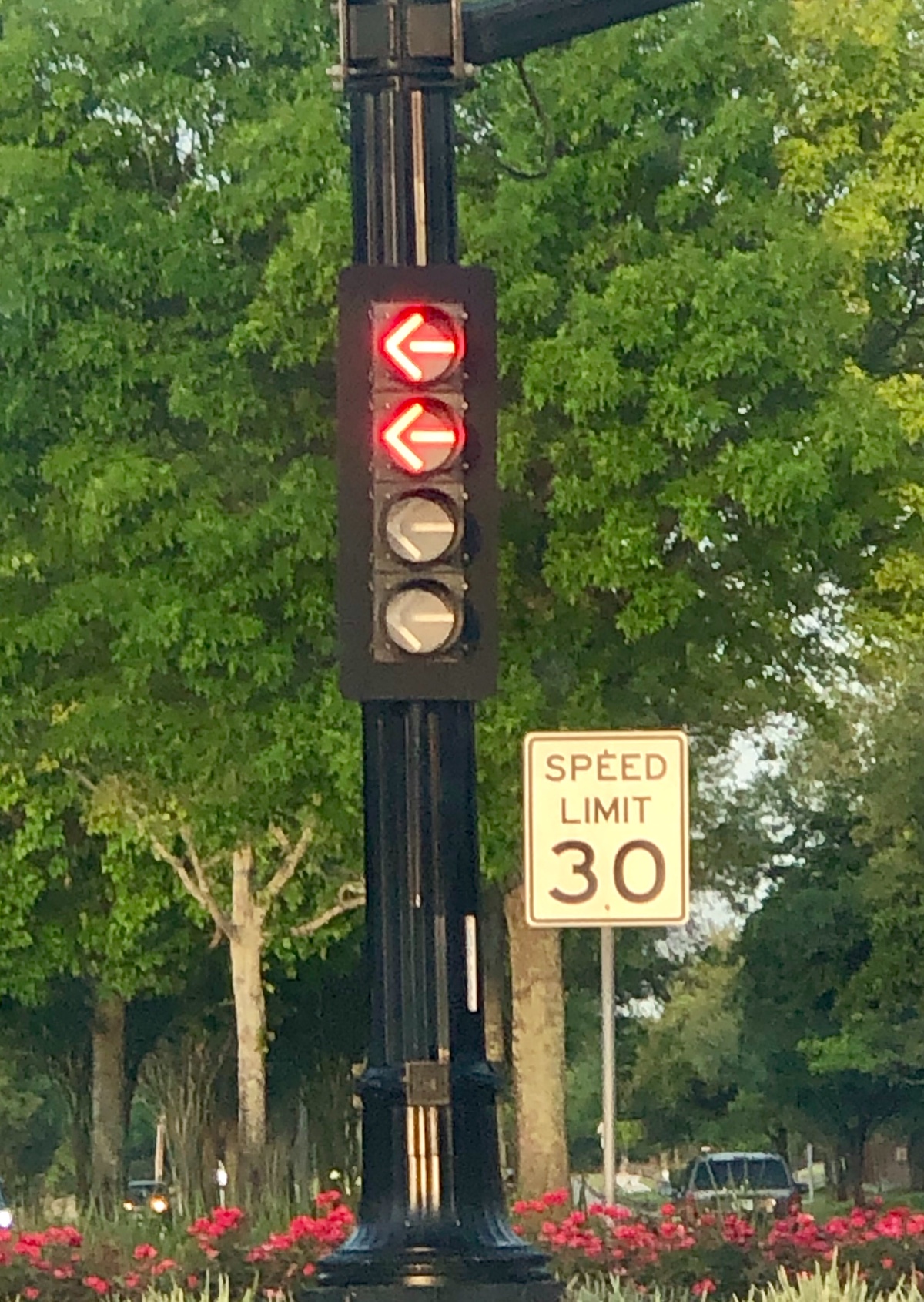 double red arrow traffic light