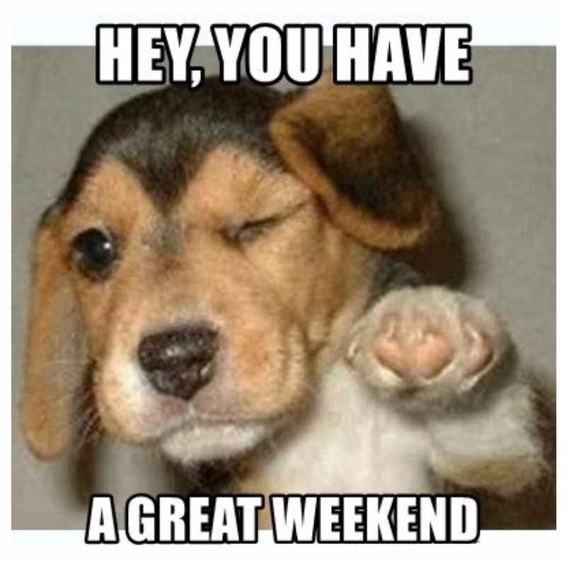 have a great weekend puppy